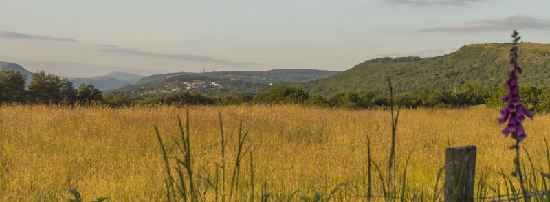 Photograph of Walking Route - Image 30