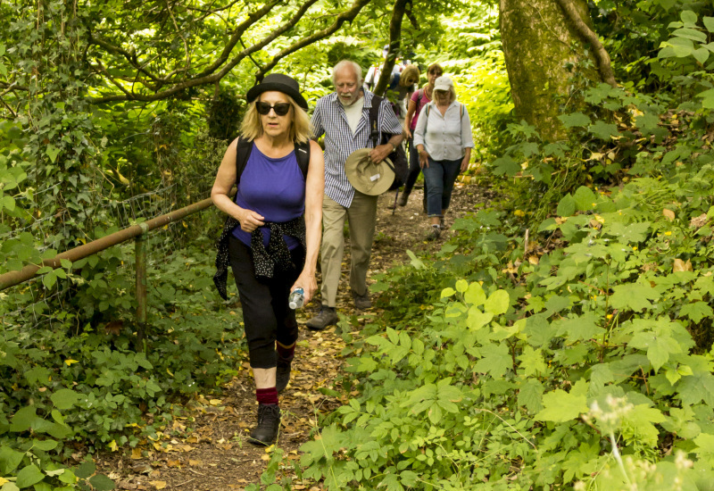 Photograph of Walking Route - Image 7