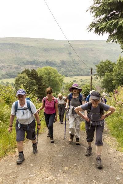 Photograph of Walking Route - Image 10