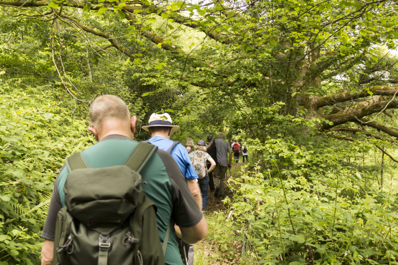 Photograph of Walking Route - Image 11