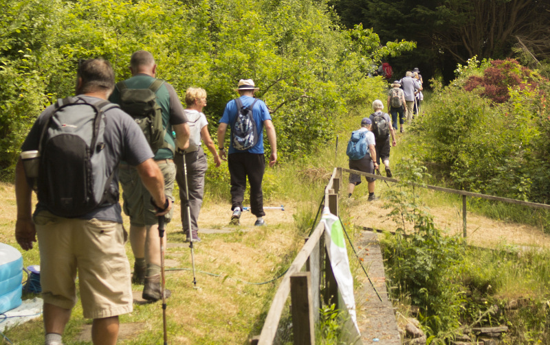 Photograph of Walking Route - Image 12