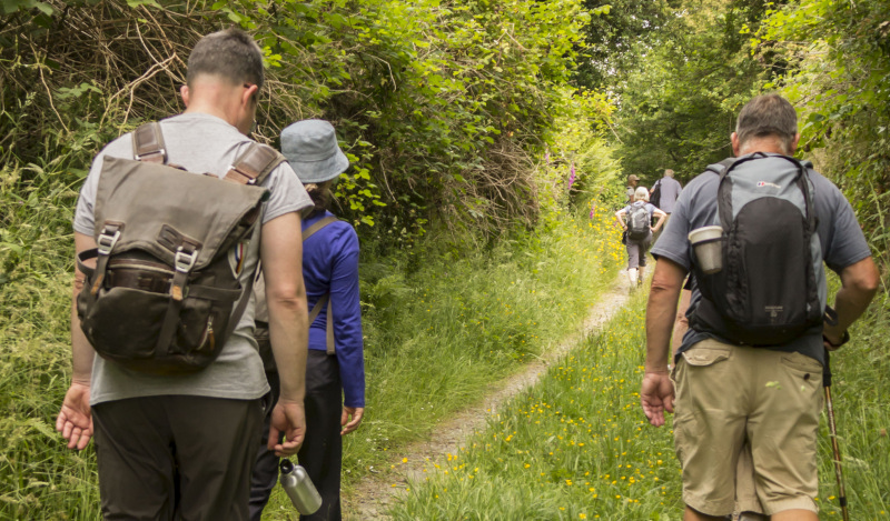 Photograph of Walking Route - Image 13