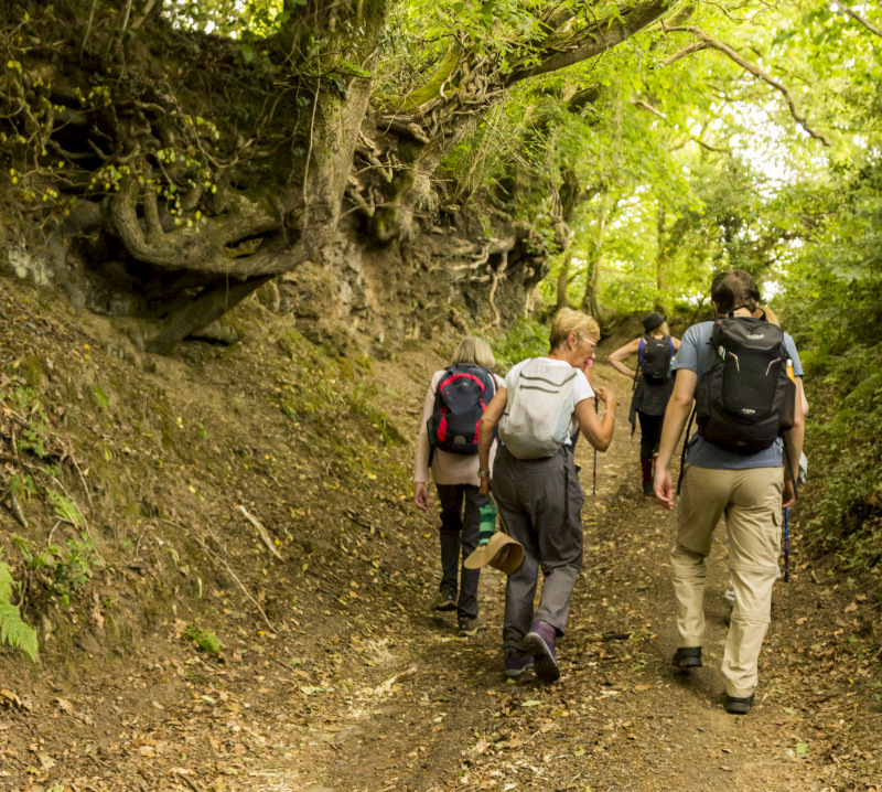 Photograph of Walking Route - Image 14