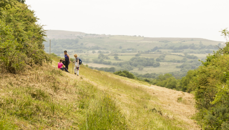 Photograph of Walking Route - Image 15