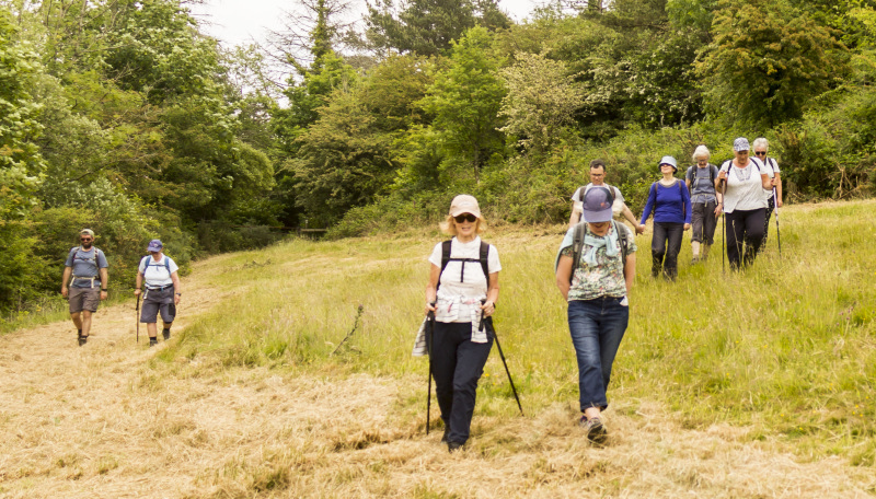 Photograph of Walking Route - Image 19