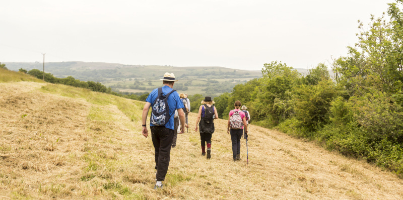 Photograph of Walking Route - Image 20