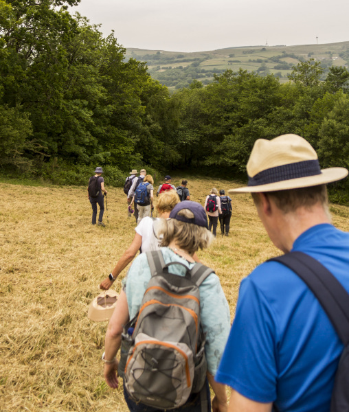 Photograph of Walking Route - Image 22