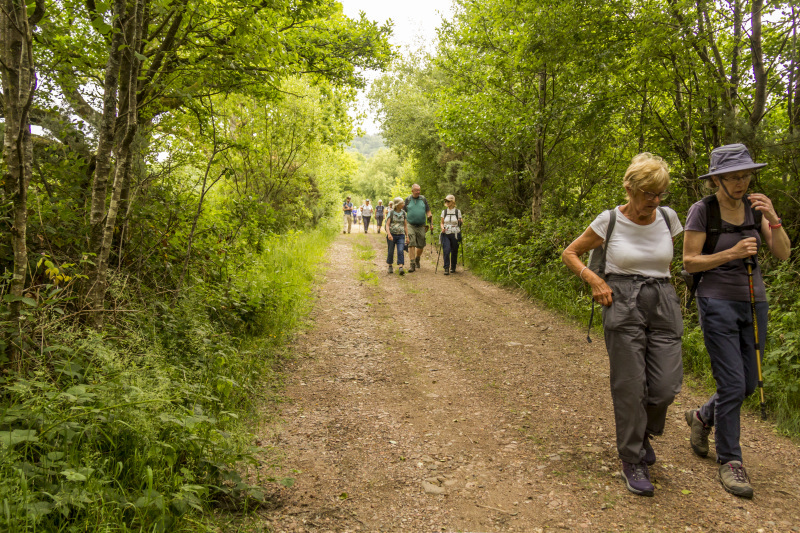 Photograph of Walking Route - Image 26