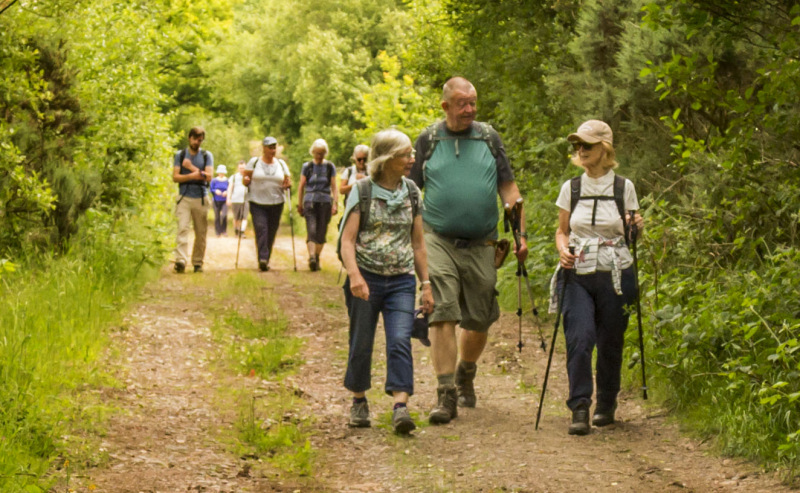 Photograph of Walking Route - Image 27