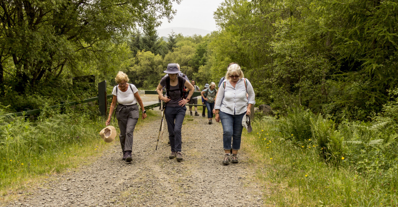 Photograph of Walking Route - Image 30