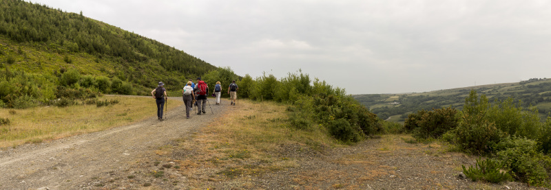 Photograph of Walking Route - Image 33