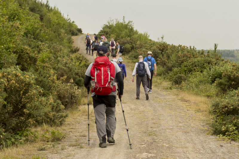 Photograph of Walking Route - Image 36