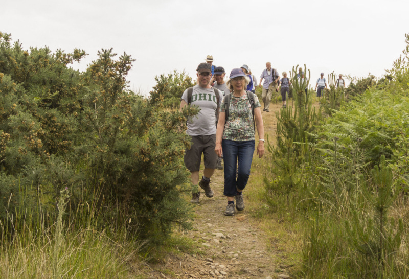 Photograph of Walking Route - Image 37