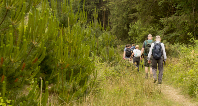 Photograph of Walking Route - Image 38