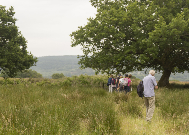 Photograph of Walking Route - Image 40