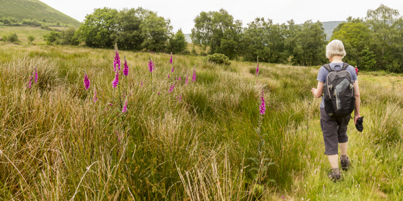 Photograph of Walking Route - Image 42