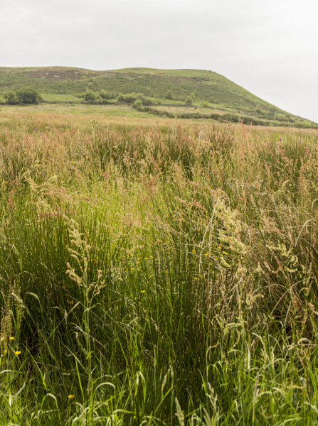 Photograph of Walking Route - Image 44