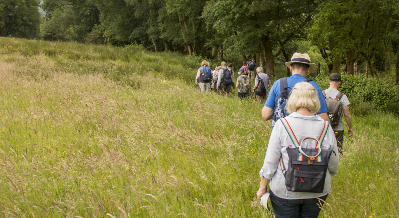 Photograph of Walking Route - Image 45