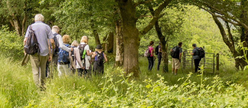 Photograph of Walking Route - Image 46