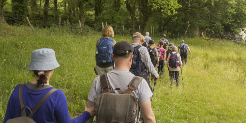 Photograph of Walking Route - Image 48