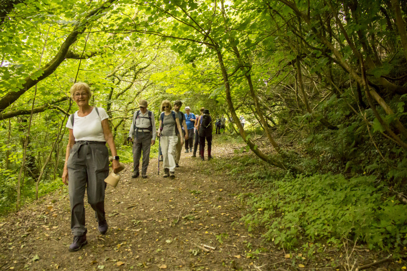 Photograph of Walking Route - Image 51