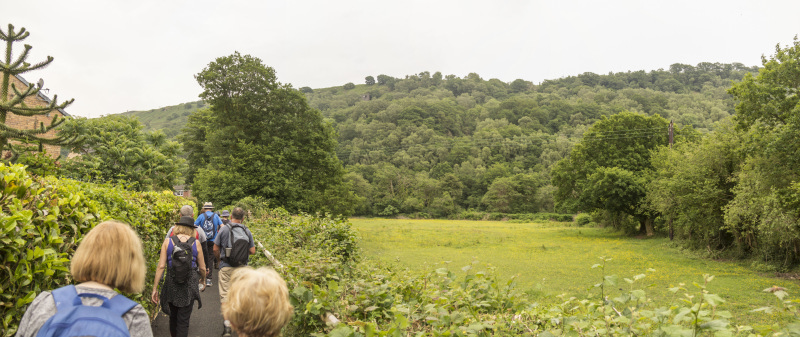 Photograph of Walking Route - Image 54