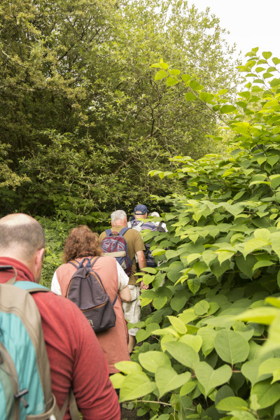 Photograph of Walking Route - Image 2