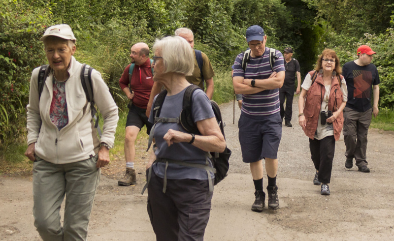 Photograph of Walking Route - Image 3