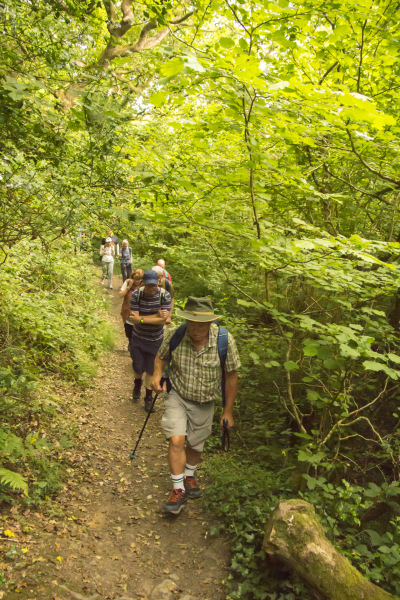 Photograph of Walking Route - Image 6