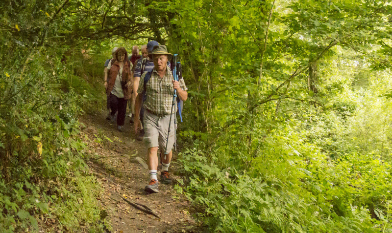 Photograph of Walking Route - Image 7