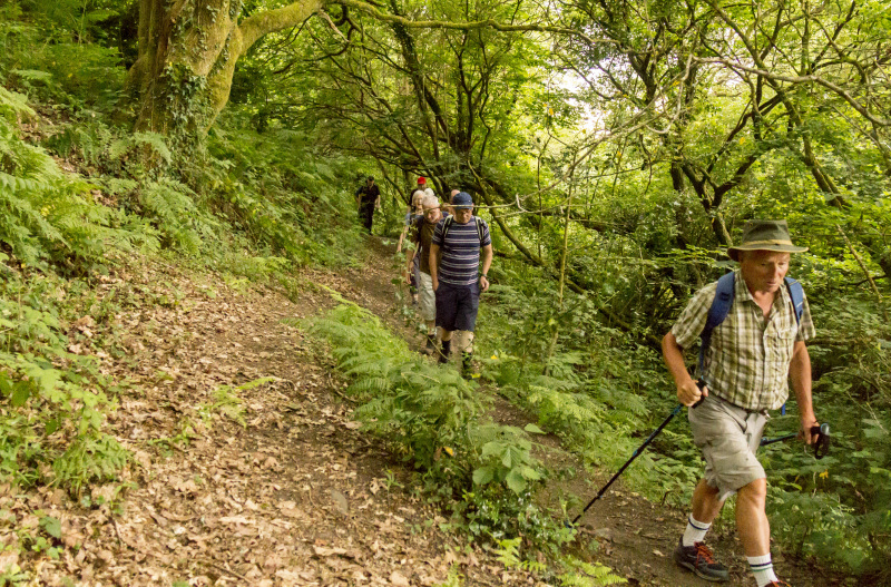 Photograph of Walking Route - Image 8