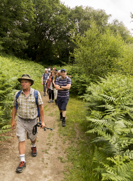 Photograph of Walking Route - Image 9