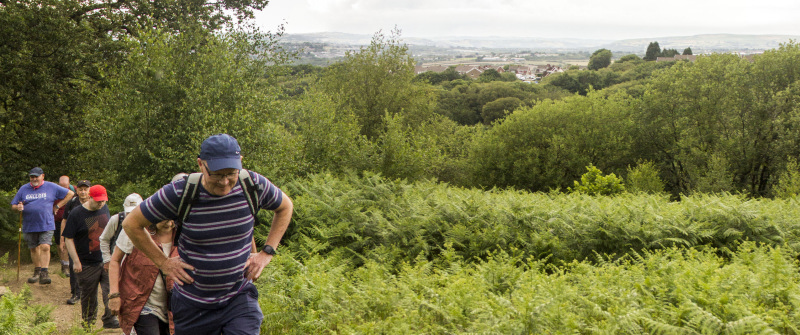 Photograph of Walking Route - Image 10