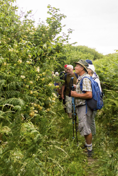 Photograph of Walking Route - Image 11