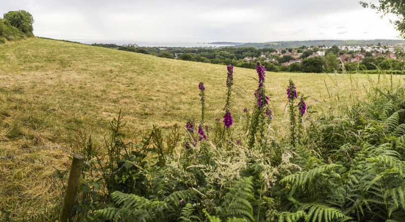 Photograph of Walking Route - Image 13