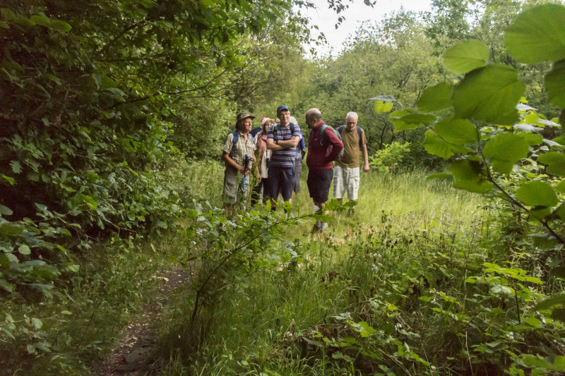 Photograph of Walking Route - Image 21