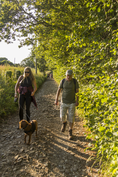 Photograph of Walking Route - Image 2