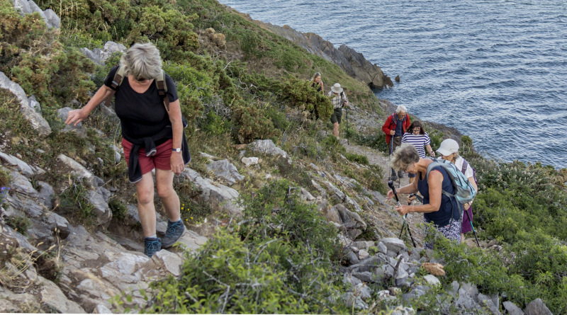 Photograph of Walking Route - Image 11