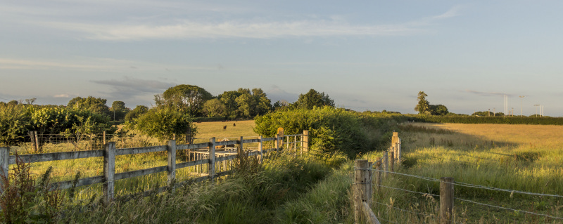 Photograph of Walking Route - Image 36