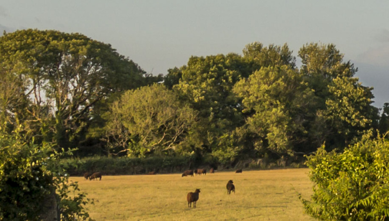 Photograph of Walking Route - Image 37