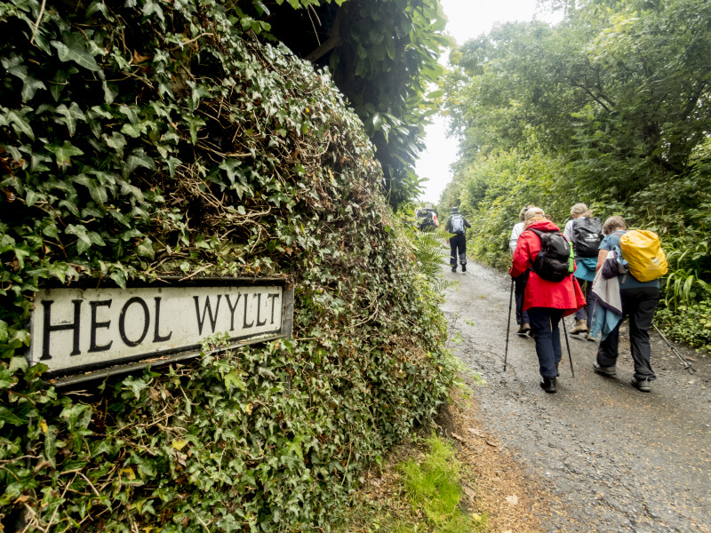 Photograph of Walking Route - Image 6