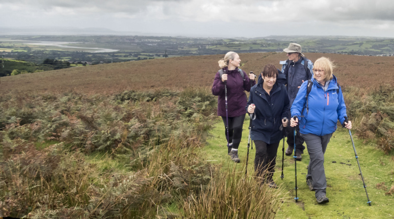 Photograph of Walking Route - Image 12