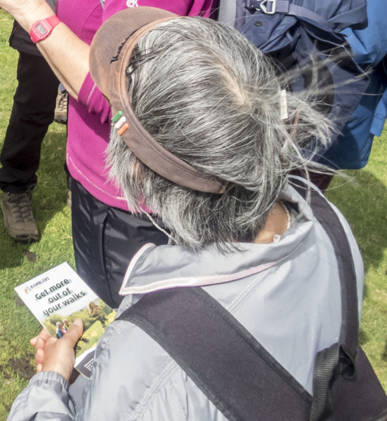 Photograph of Walking Route - Image 17