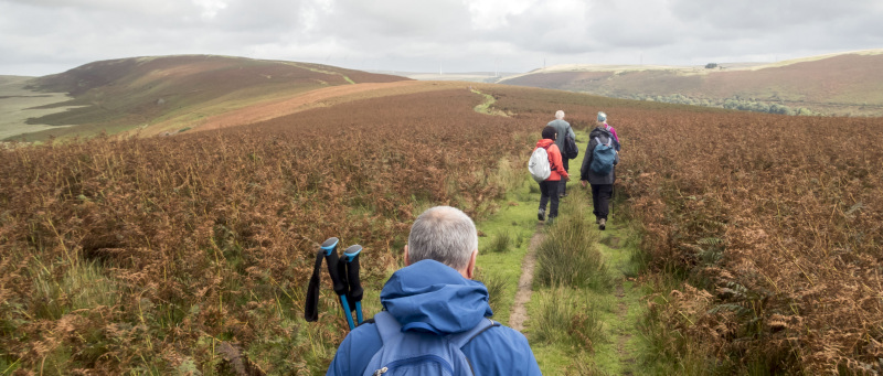 Photograph of Walking Route - Image 19