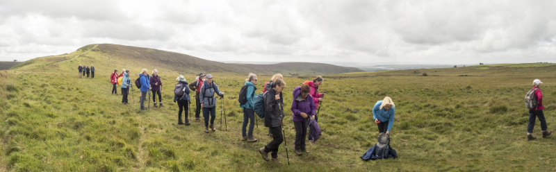 Photograph of Walking Route - Image 26