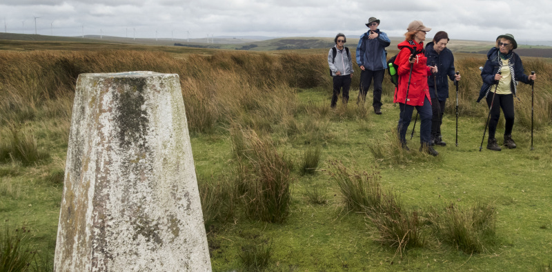 Photograph of Walking Route - Image 33