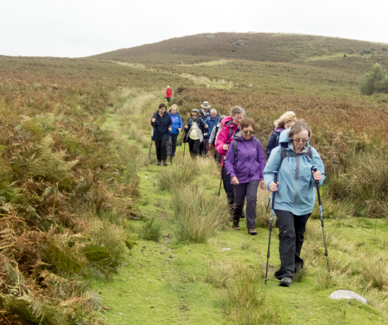 Photograph of Walking Route - Image 37