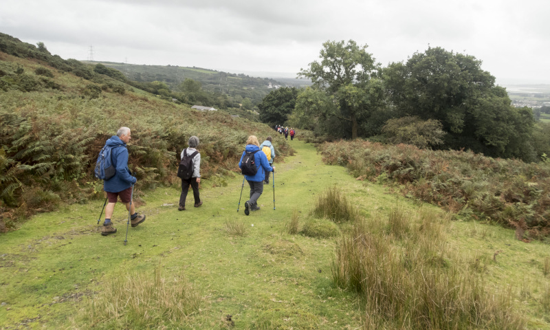 Photograph of Walking Route - Image 44