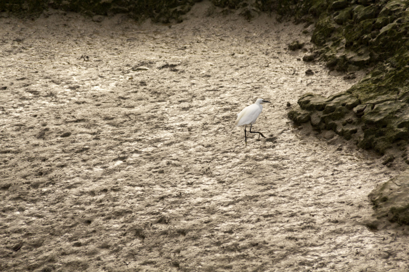 Photograph of Walking Route - Image 4