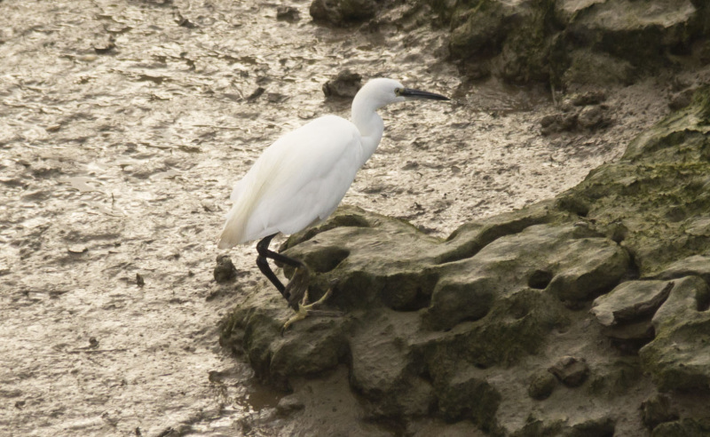 Photograph of Walking Route - Image 6